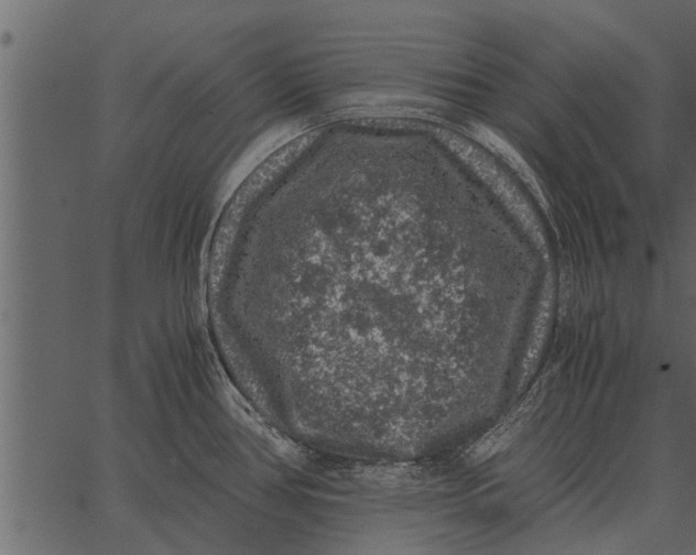 X0000062651386200601111140