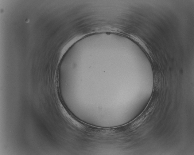 X0000062651387200601111140