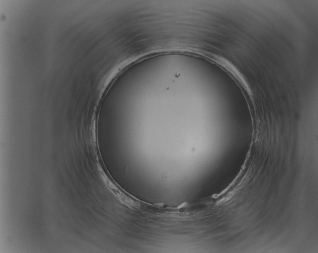 X0000062651388200601111140