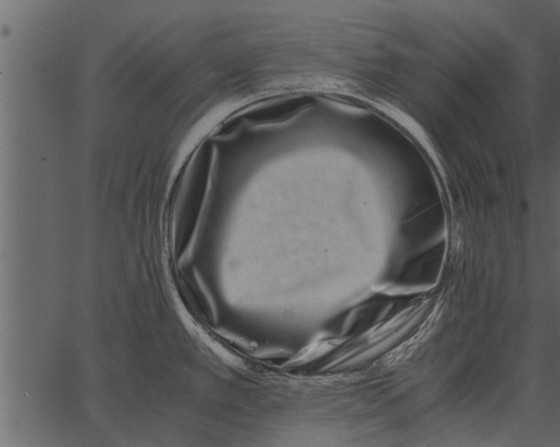 X0000062651389200601111140