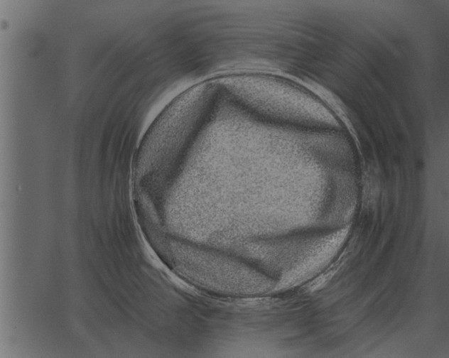 X0000062651390200601111140