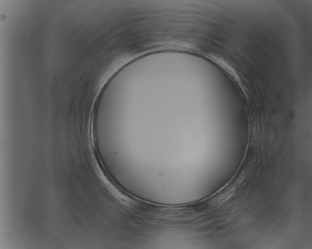 X0000062651391200601111140