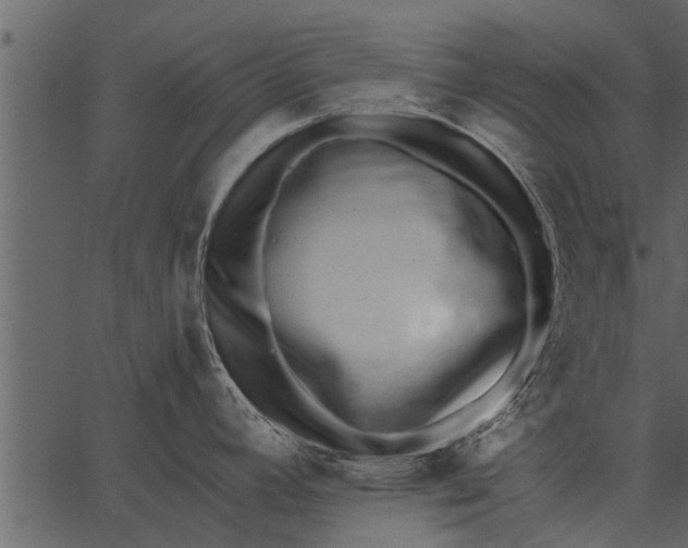 X0000062651392200601111140