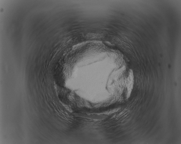 X0000062651393200601111139