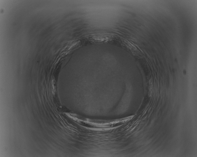 X0000062651394200601111139