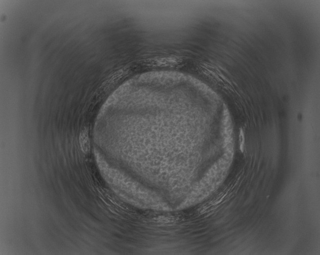 X0000062651395200601111139