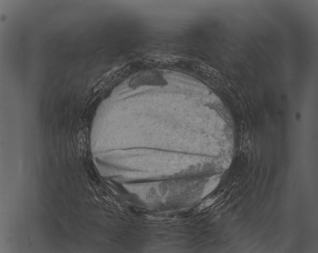 X0000062651397200601111139