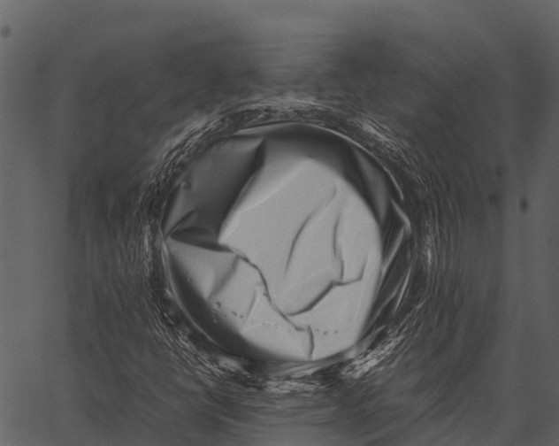 X0000062651398200601111139