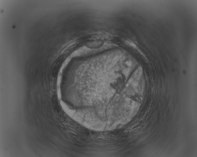 X0000062651399200601111139