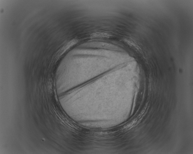 X0000062651401200601111139