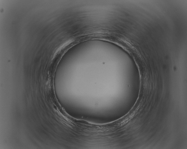 X0000062651402200601111139