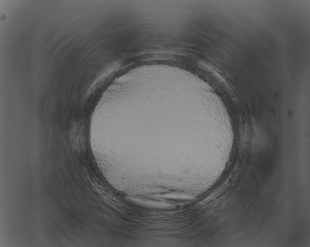 X0000062651403200601111139