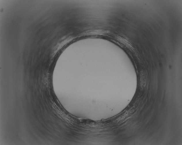 X0000062651404200601111139