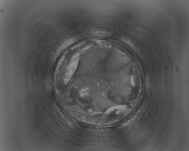 X0000062651405200601111140