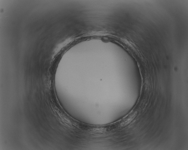 X0000062651406200601111140