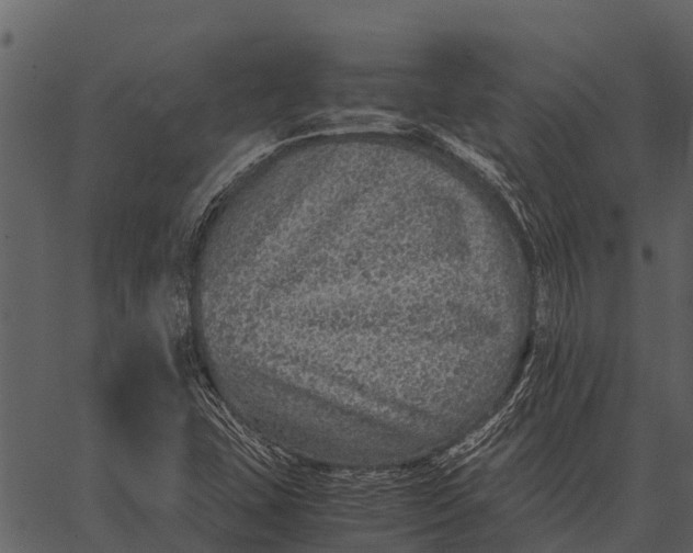 X0000062651407200601111140