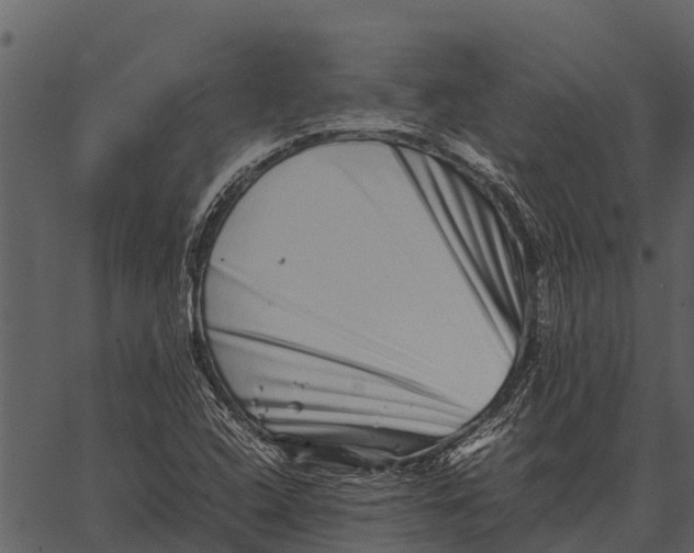 X0000062651408200601111140