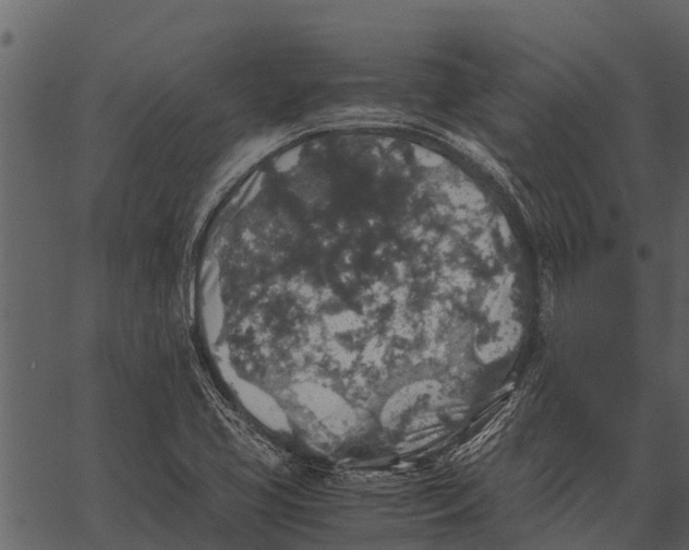 X0000062651413200601111140