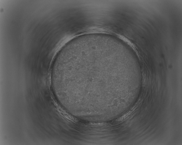 X0000062651415200601111140