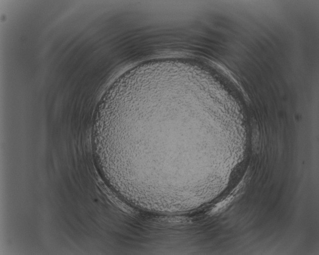 X0000062651417200601111140