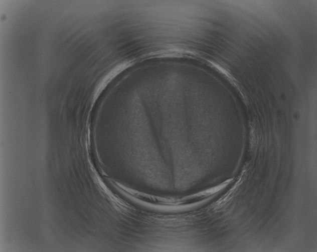 X0000062651418200601111140