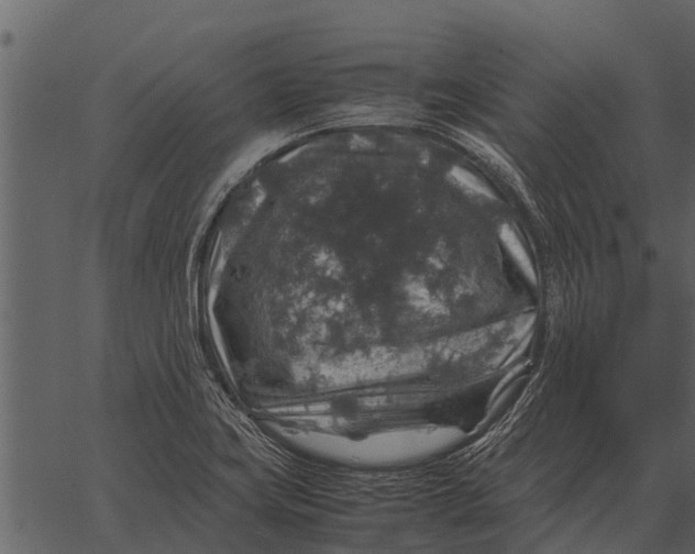 X0000062651419200601111140