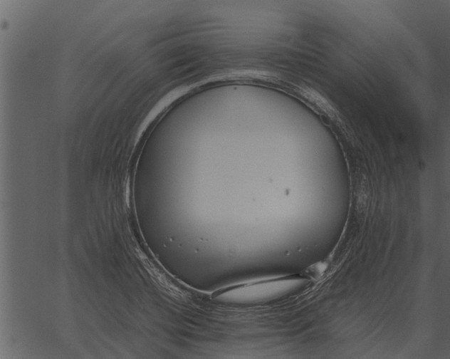 X0000062651420200601111140