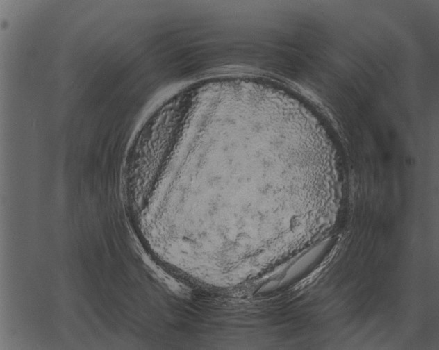 X0000062651421200601111140