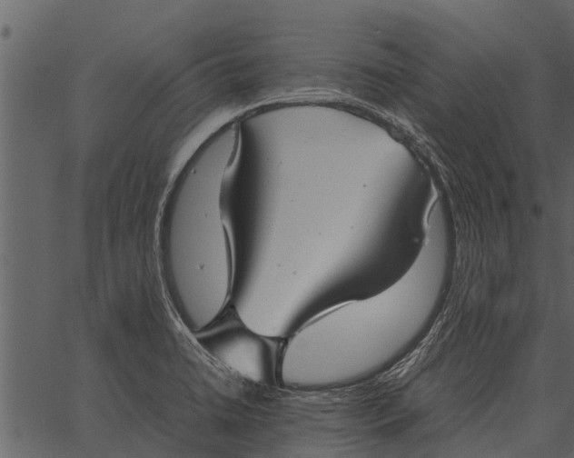 X0000062651422200601111140