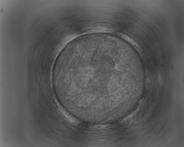 X0000062651423200601111140