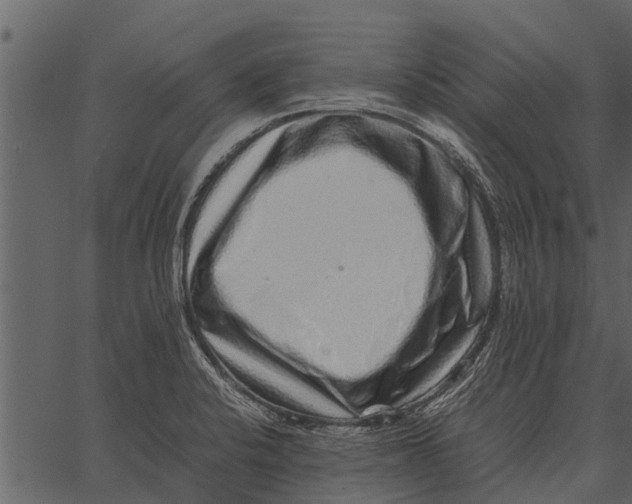 X0000062651424200601111140