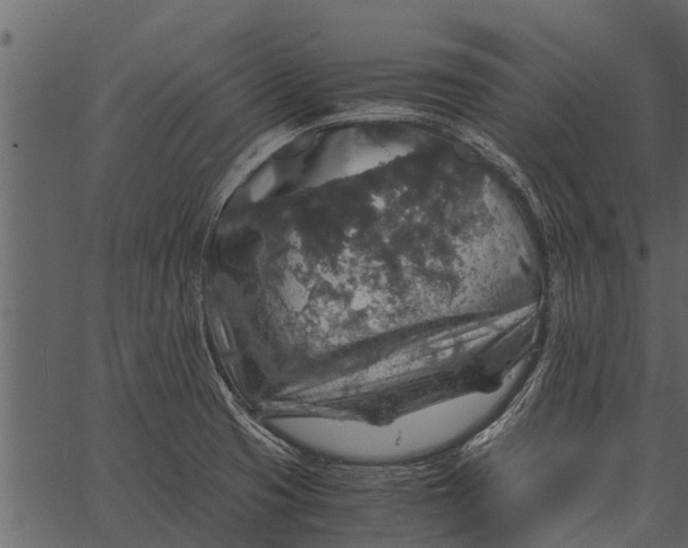 X0000062651425200601111140