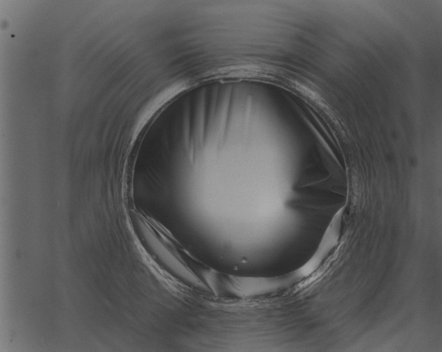 X0000062651426200601111140