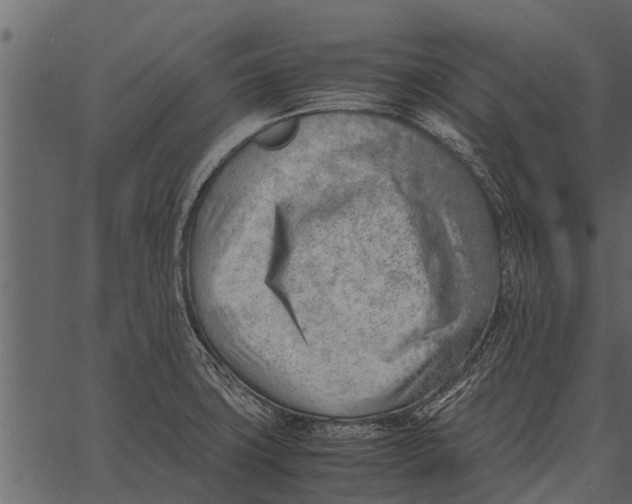 X0000062651427200601111140