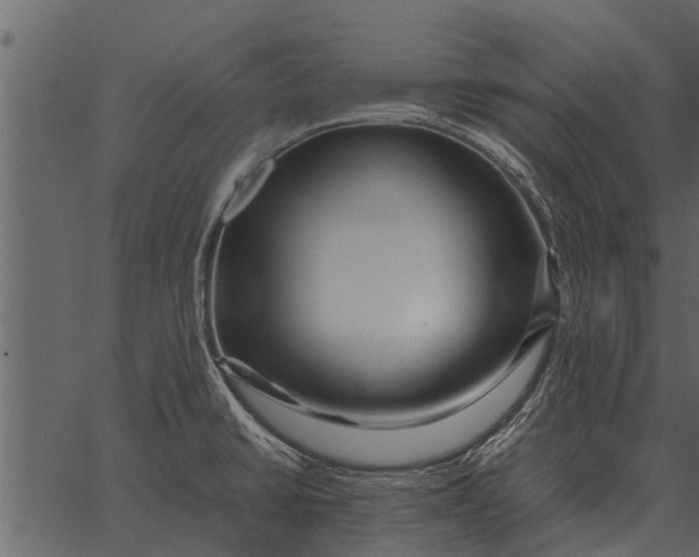 X0000062651430200601111140