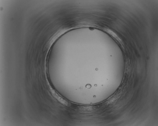 X0000062651431200601111140