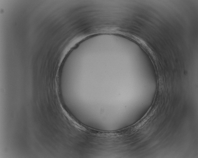 X0000062651432200601111140