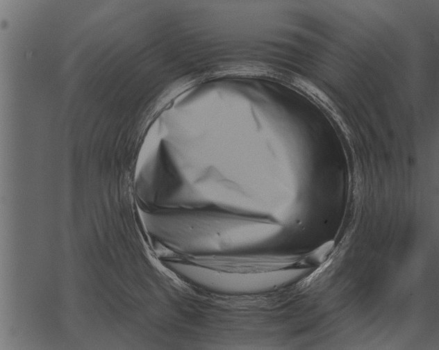 X0000062651433200601111140