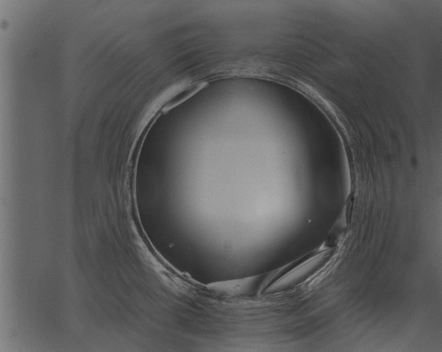 X0000062651434200601111140