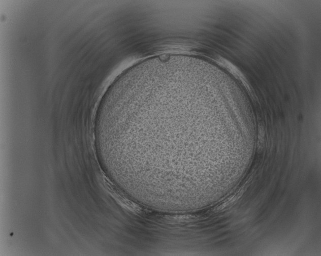 X0000062651435200601111140