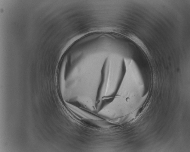 X0000062651436200601111140