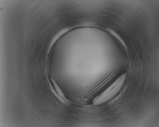 X0000062651437200601111140