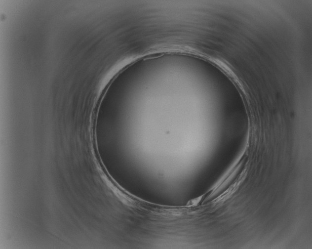 X0000062651438200601111140