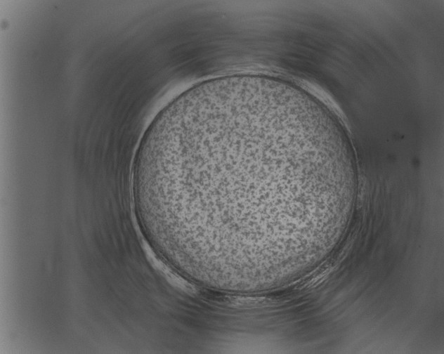 X0000062651439200601111140