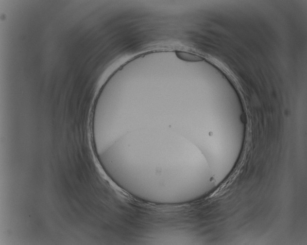 X0000062651440200601111140