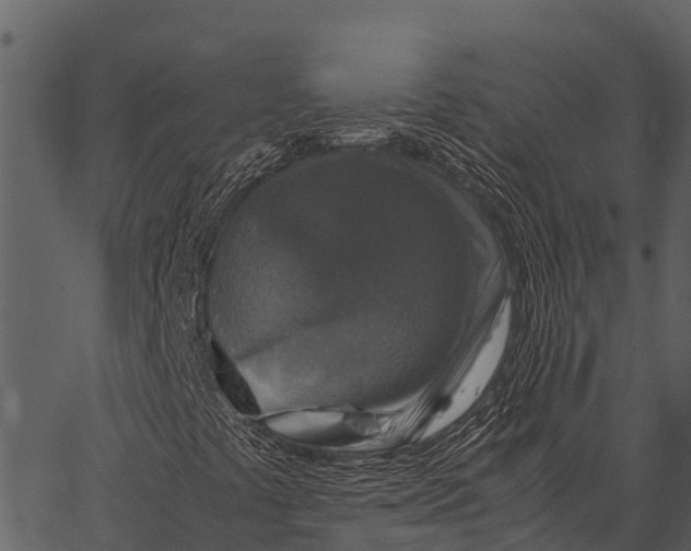 X0000062651441200601111139