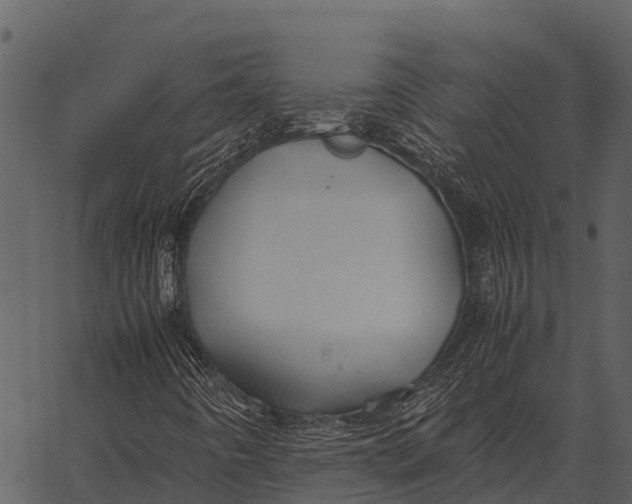 X0000062651442200601111139