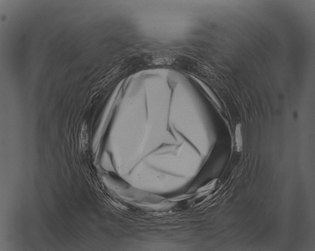 X0000062651443200601111139