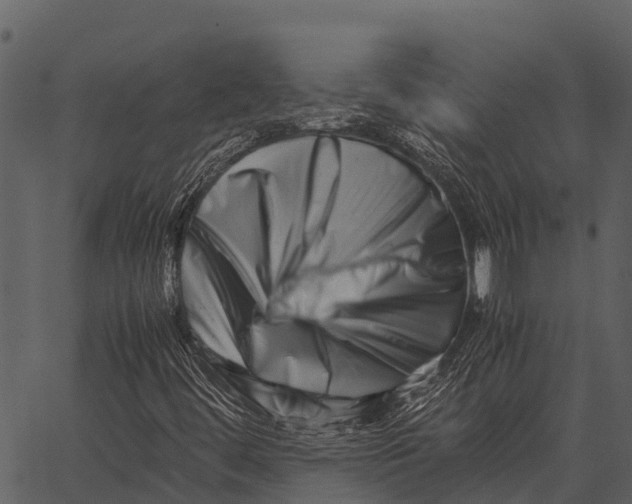 X0000062651444200601111139