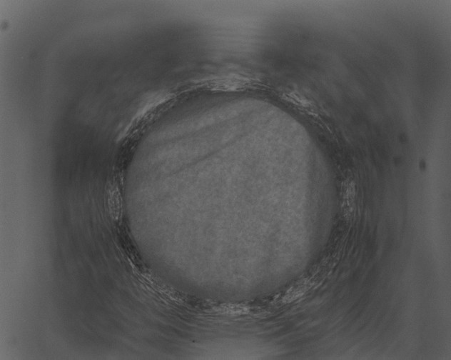 X0000062651446200601111139